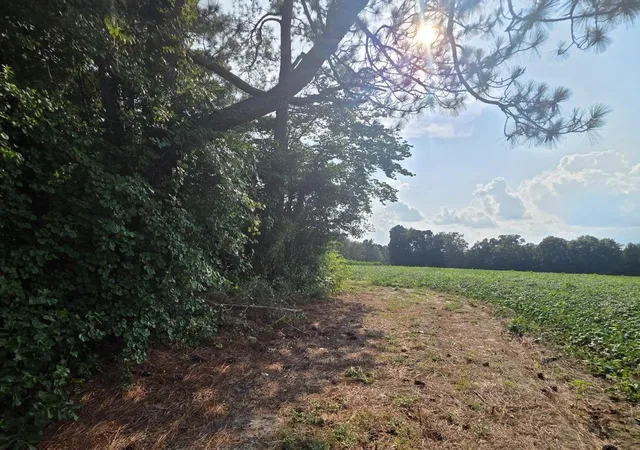 2nd image of 0 Eldridge Rd, Newton Grove, NC 28366 | MLS# 10184229