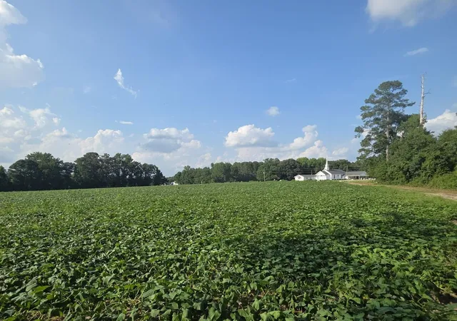 3rd image of 0 Eldridge Rd, Newton Grove, NC 28366 | MLS# 10184229