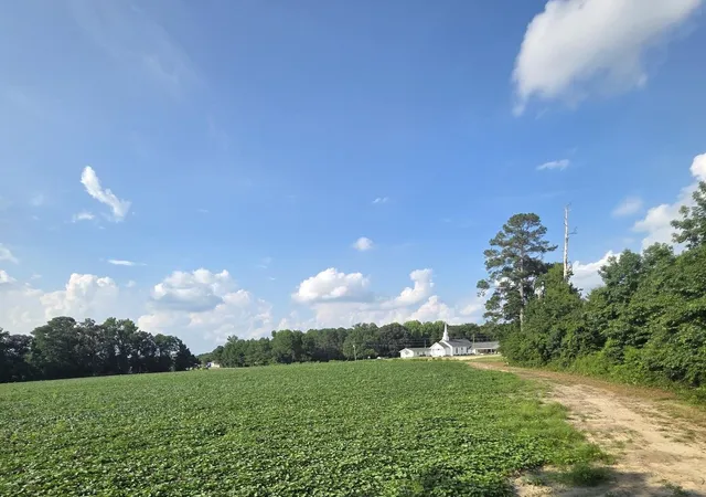 4th image of 0 Eldridge Rd, Newton Grove, NC 28366 | MLS# 10184229