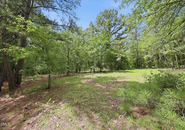 15th image of 164 Zollie Ln, Cameron, NC 28326 | MLS# 10184316