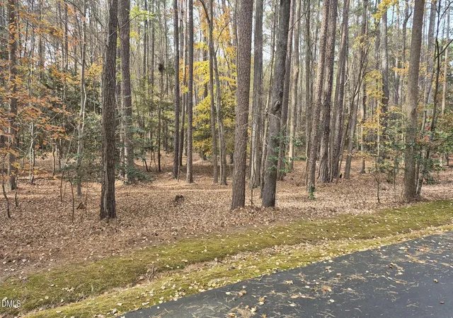 5th image of 5209 Ginger Trl, Raleigh, NC 27614 | MLS# 10185966