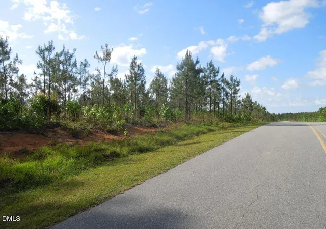 Photo 3 of Land for sale at 000 River Rd, Henrico, NC 27842 | MLS# 10184368 | Listing updated on 2026-08-05