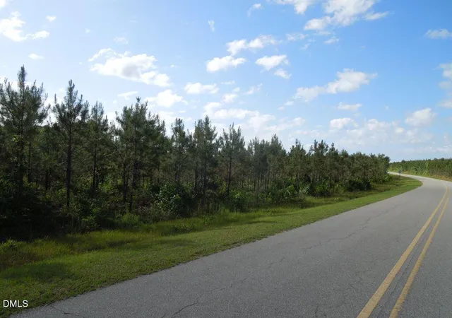 Photo 4 of Land for sale at 000 River Rd, Henrico, NC 27842 | MLS# 10184368 | Listing updated on 2026-08-05