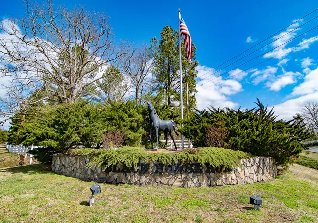 70th image of 504 Appaloosa Trl, Bahama, NC 27503 | MLS# 10184407