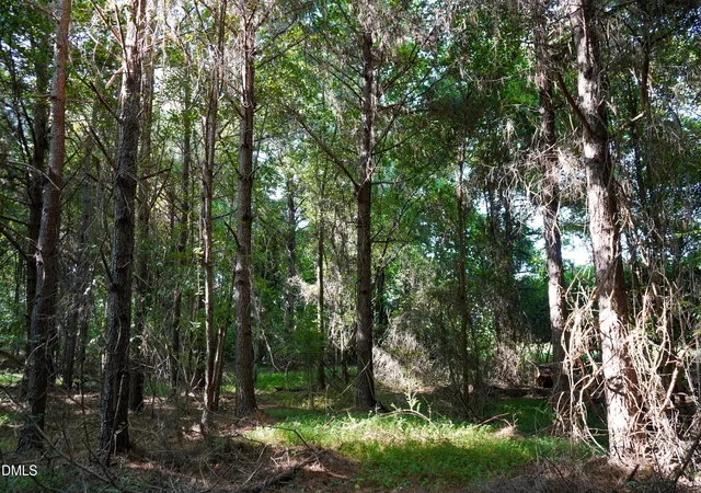 4th image of 525 Acres Timberlake Rd, Louisburg, NC 27549 | MLS# 10184460