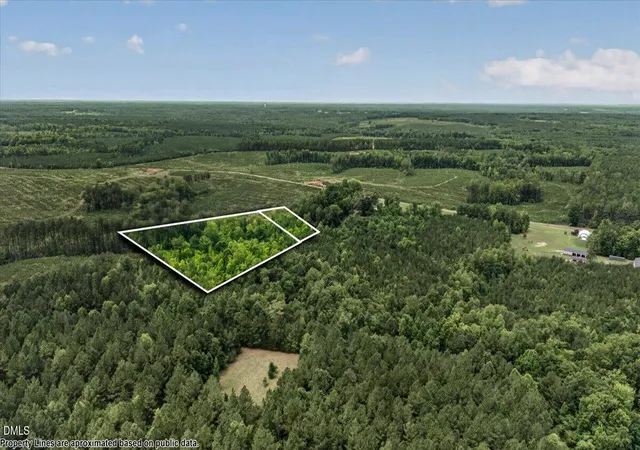 4th image of 0 Blacks Rd, Macon, NC 27551 | MLS# 10185139