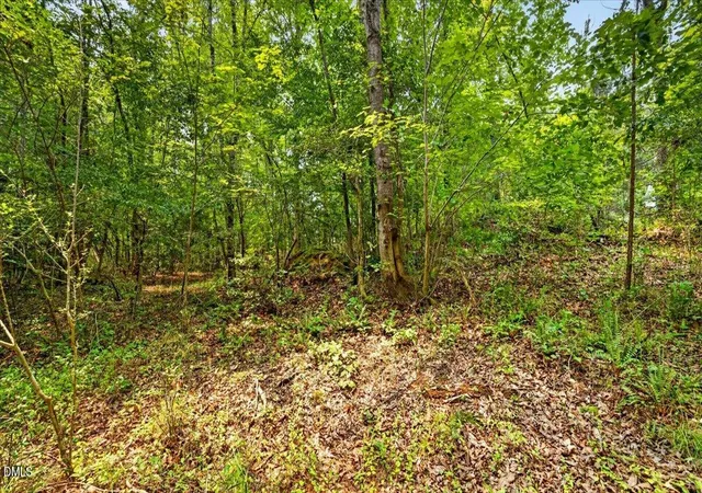 5th image of 0 Blacks Rd, Macon, NC 27551 | MLS# 10185139