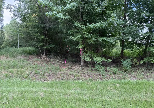 Photo 3 of Land for sale at 00 Chatham Church Rd, Moncure, NC 27559 | MLS# 10184997 | Listing updated on 2026-08-07