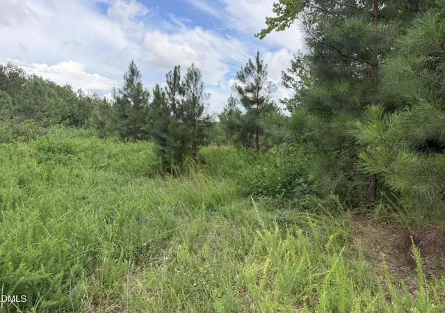Photo 5 of Land for sale at 00 Chatham Church Rd, Moncure, NC 27559 | MLS# 10184997 | Listing updated on 2026-08-07