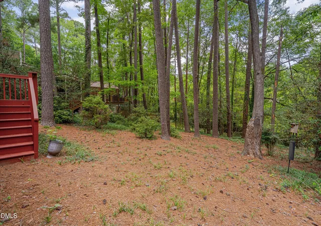 27th image of 117 Flora Mcdonald Ln, Cary, NC 27511 | MLS# 10184652