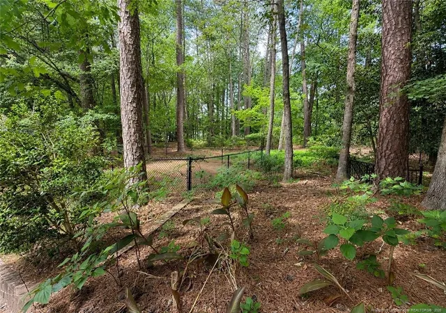 18th image of 908 Botany Woods Dr, Sanford, NC 27330 | MLS# 766867