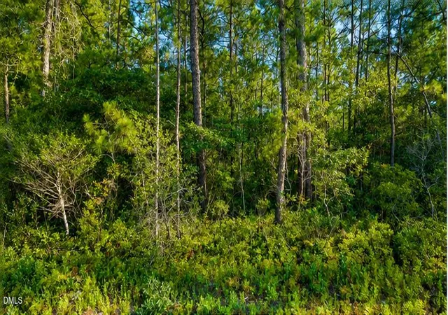 10th image of Lot 1 Whiteville Rd Nw, Ash, NC 28420 | MLS# 10185112