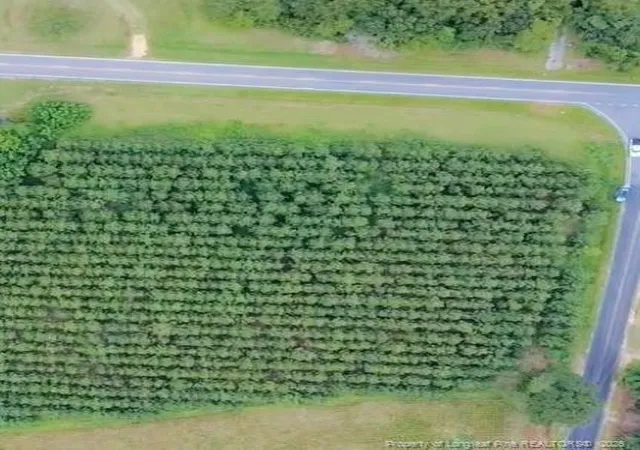 Photo 2 of Land for sale at Nc Hwy 904 W, Fairmont, NC 28340 | MLS# 767323 | Listing updated on 2026-08-08