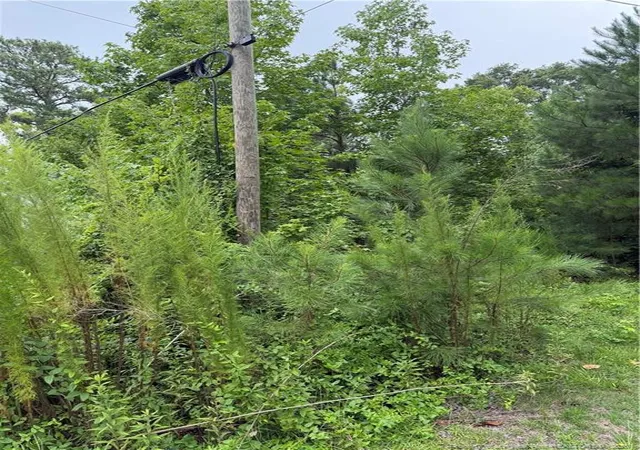 2nd image of 2105 Sapona Rd, Fayetteville, NC 28312 | MLS# 766264