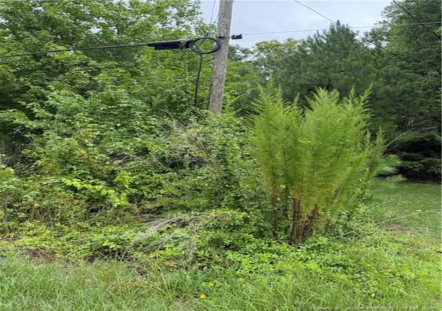 4th image of 2105 Sapona Rd, Fayetteville, NC 28312 | MLS# 766264