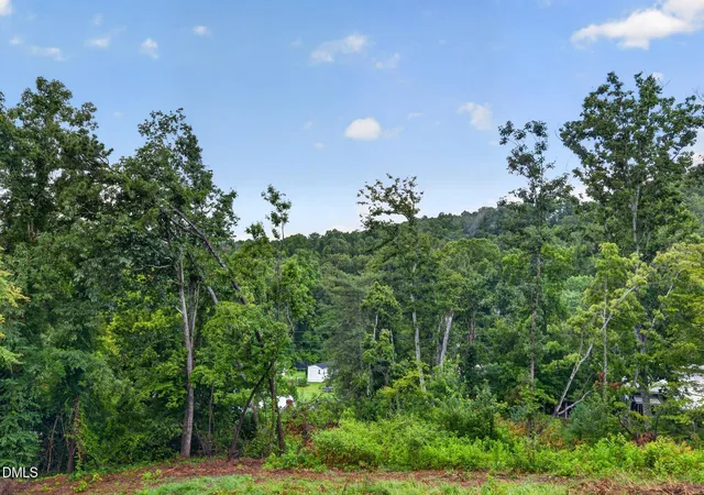 39th image of 15 Briar Ridge Dr, Fairview, NC 28730 | MLS# 10184981