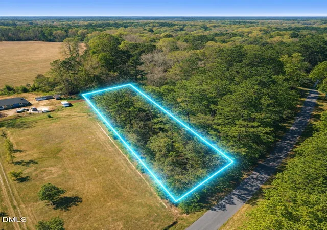 10th image of 0 Otis Donnell Nixon Rd, Evergreen, NC 28438 | MLS# 10184980