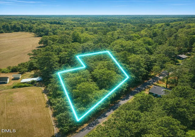 5th image of 0 Otis Donnell Nixon Rd, Evergreen, NC 28438 | MLS# 10184980