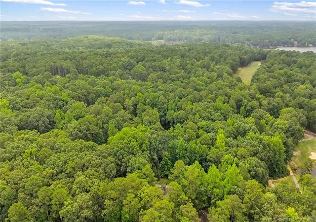 40th image of 6093 Dunes Dr, Sanford, NC 27332 | MLS# 767185
