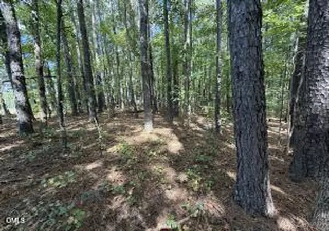 1st image of 1 Massengill Pond Rd, Angier, NC 27501 | MLS# 10185133