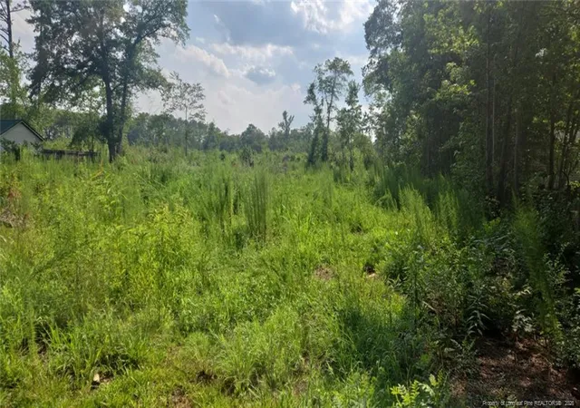 1st image of 5184 Hummingbird Pl, Fayetteville, NC 28312 | MLS# 767415
