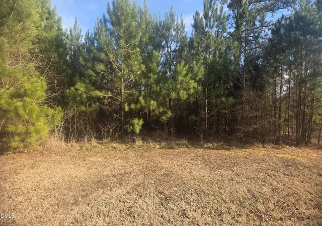 13th image of Id 011859 Laurel Mill, Louisburg, NC 27549 | MLS# 10185339