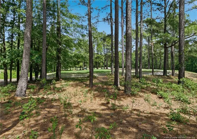 2nd image of 288 Gallery Dr #204, Spring Lake, NC 28390 | MLS# 767077