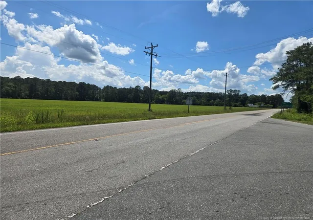 Photo 3 of Land for sale at 24911 Nc Hwy 210, Currie, NC 28435 | MLS# 767436 | Listing updated on 2026-08-10