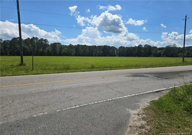 Photo 4 of Land for sale at 24911 Nc Hwy 210, Currie, NC 28435 | MLS# 767436 | Listing updated on 2026-08-10