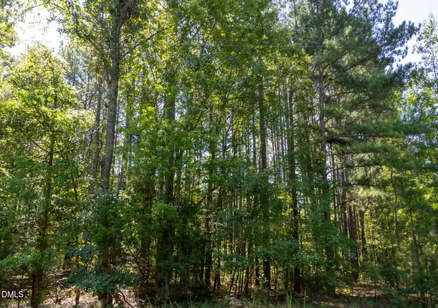 4th image of 3132 Walters Rd, Creedmoor, NC 27522 | MLS# 10185570
