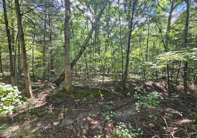 Photo 3 of Sale Pending at 625 Harts Crk Dr, Pittsboro, NC 27312 | MLS# 10185492 | Listing updated on 2026-09-02