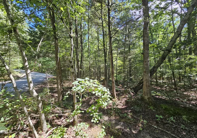 Photo 4 of Sale Pending at 625 Harts Crk Dr, Pittsboro, NC 27312 | MLS# 10185492 | Listing updated on 2026-09-02