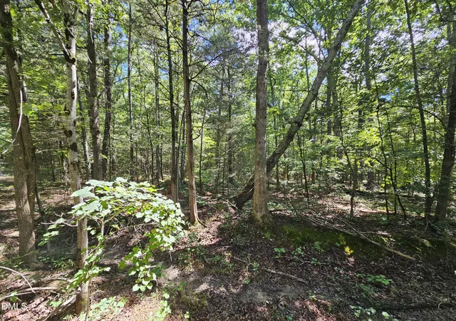 Photo 5 of Sale Pending at 625 Harts Crk Dr, Pittsboro, NC 27312 | MLS# 10185492 | Listing updated on 2026-09-02