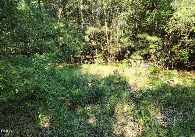 Photo 10 of Sale Pending at 486 Creech Johnson Rd, Zebulon, NC 27597 | MLS# 10185497 | Listing updated on 2026-08-30