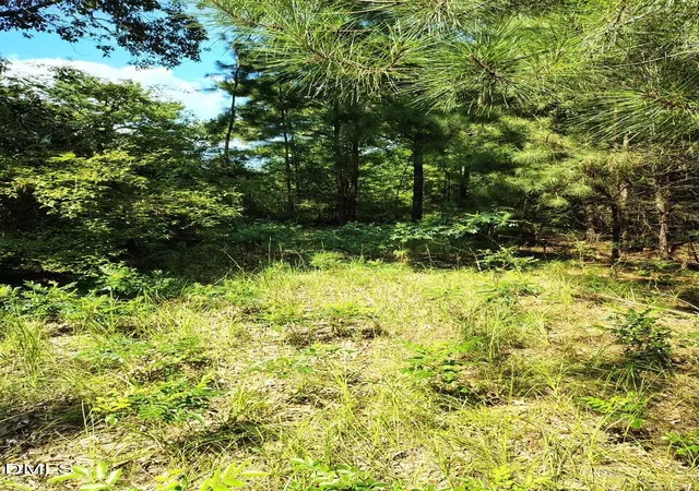 Photo 4 of Sale Pending at 486 Creech Johnson Rd, Zebulon, NC 27597 | MLS# 10185497 | Listing updated on 2026-08-30