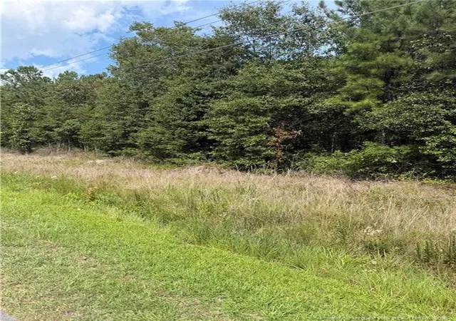 2nd image of Siversten Rd, Autryville, NC 28318 | MLS# 767494