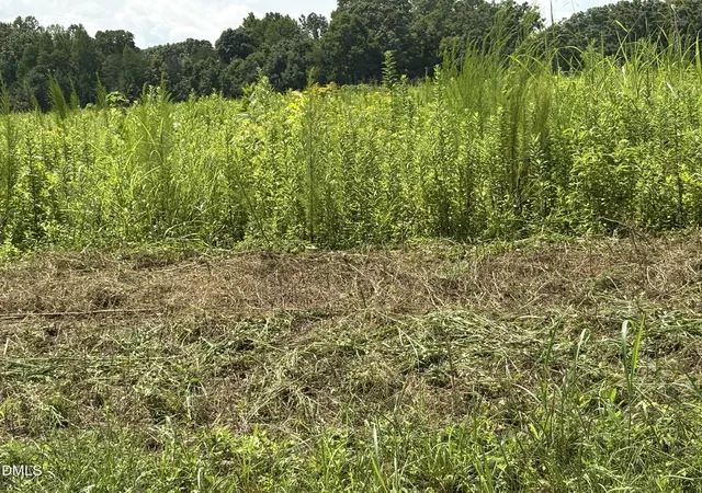 Photo 3 of Land for sale at Lot 5 Oak Grv Church Rd, Mebane, NC 27302 | MLS# 10187721 | Listing updated on 2026-08-24