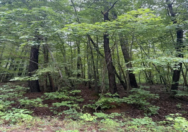 1st image of Lot 12 Frazier Ln, Franklinton, NC 27525 | MLS# 10186182