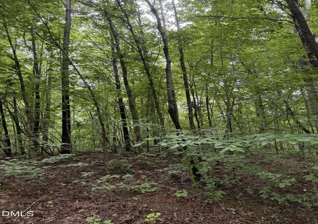 2nd image of Lot 12 Frazier Ln, Franklinton, NC 27525 | MLS# 10186182