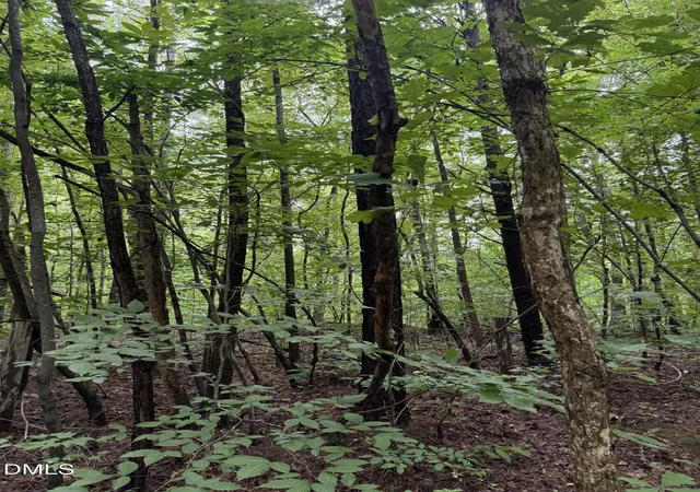 Photo 3 of Sale Pending at Lot 12 Frazier Ln, Franklinton, NC 27525 | MLS# 10186182 | Listing updated on 2026-09-10