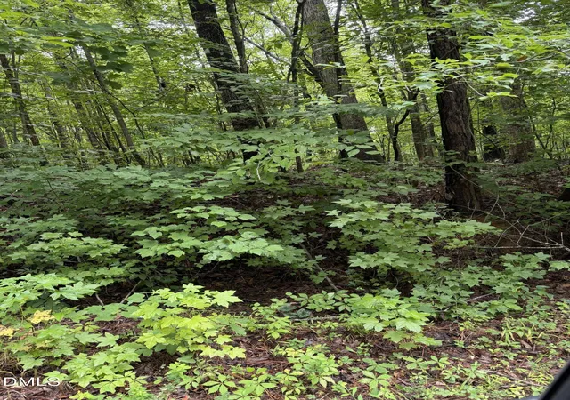 4th image of Lot 12 Frazier Ln, Franklinton, NC 27525 | MLS# 10186182