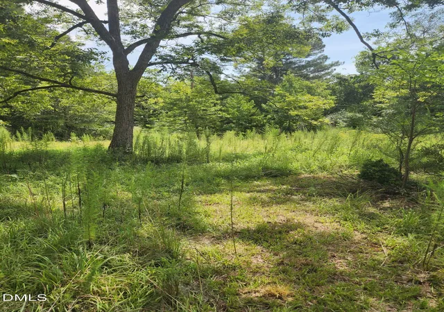 4th image of 0 Bradshaw Quarry Rd, Mebane, NC 27302 | MLS# 10186123