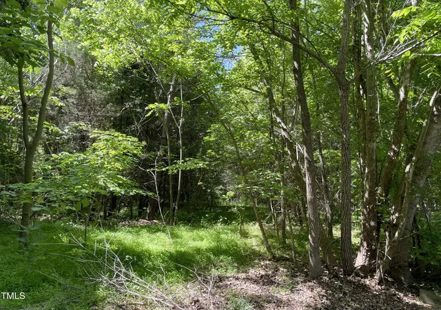 Photo 2 of Land for sale at 39 Thompson Rd, Graham, NC 27253 | MLS# 10185639 | Listing updated on 2026-09-16
