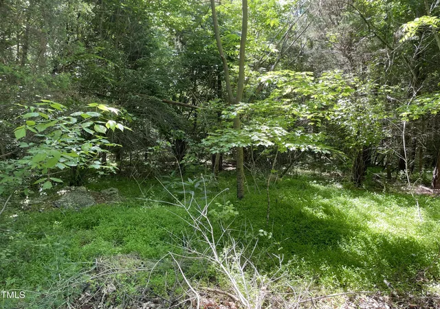Photo 3 of Land for sale at 39 Thompson Rd, Graham, NC 27253 | MLS# 10185639 | Listing updated on 2026-09-16