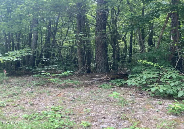 2nd image of 201 Lake Ct, Chapel Hill, NC 27516 | MLS# 10185653