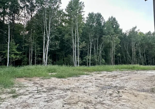 4th image of 230 Slocum Dr, Wendell, NC 27591 | MLS# 10186458