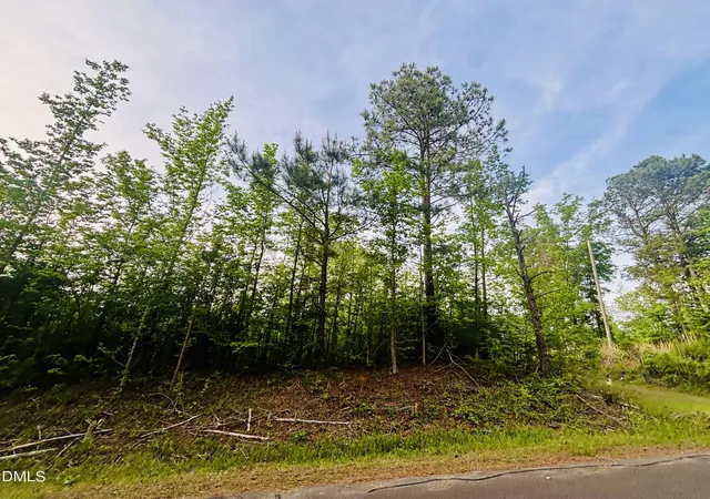 Photo 4 of Sale Pending at Tbd Alston Horton Service Rd, Pittsboro, NC 27312 | MLS# 10186124 | Listing updated on 2026-08-23