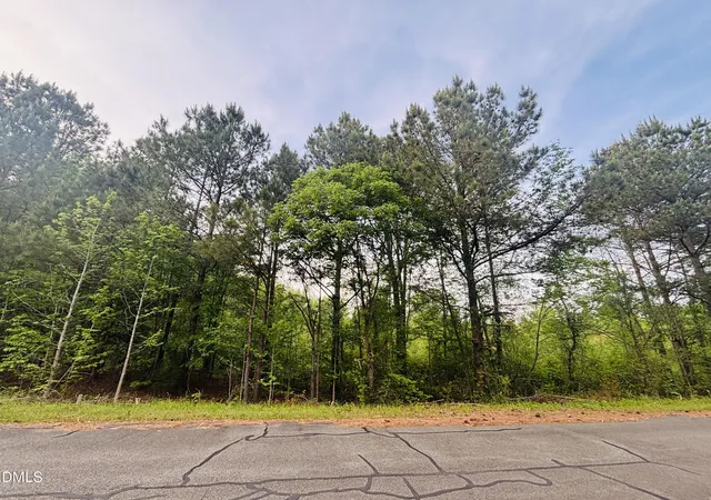 Photo 5 of Sale Pending at Tbd Alston Horton Service Rd, Pittsboro, NC 27312 | MLS# 10186124 | Listing updated on 2026-08-23