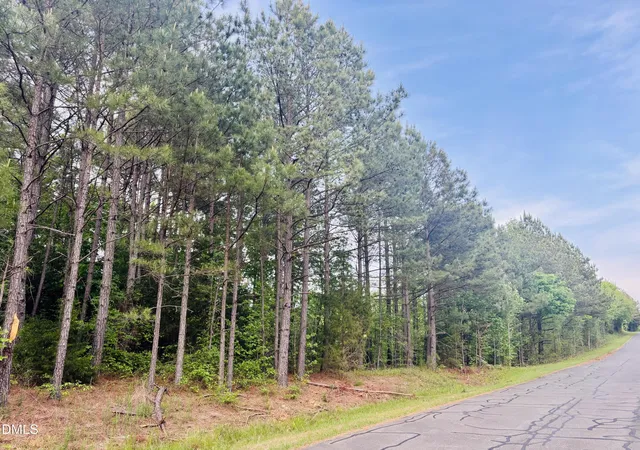 Photo 6 of Sale Pending at Tbd Alston Horton Service Rd, Pittsboro, NC 27312 | MLS# 10186124 | Listing updated on 2026-08-23