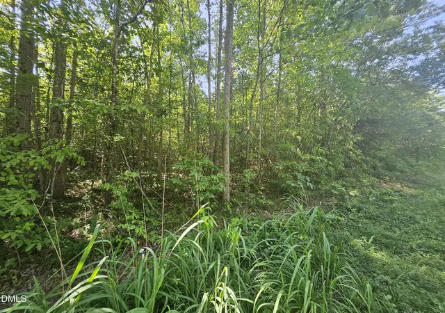 8th image of 0 Dorsey Rd, Louisburg, NC 27549 | MLS# 10185915